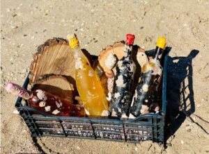 Hành trình khám phá hương vị Rượu Ngâm Dưới Biển