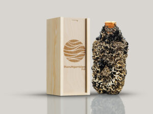 Bí ẩn rượu ngâm dưới đáy biển