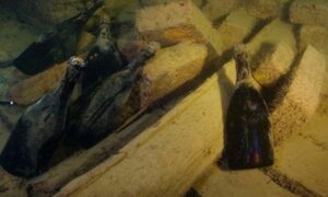  Rượu ngâm biển sâu – Kỳ tích từ đáy đại dương