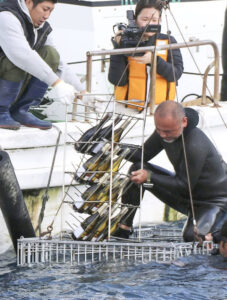 Rượu Ngâm Biển – Công Nghệ Lão Hóa Tinh Tế Từ Lòng Đại Dương