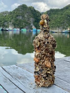 Tinh hoa rượu vang từ lòng đại dương