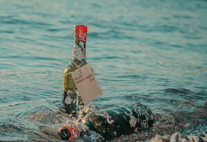 Rượu Nho Rừng Tây Bắc Ngâm Biển