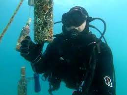 Bí quyết ngâm rượu độc đáo từ Nhật Bản