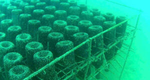 Khám phá hương vị độc dáo của rượu ủ dưới đáy biển