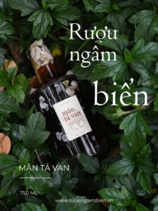 Rượu hoa quả ngâm biển